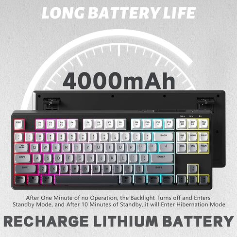 Ziyou Lang M87 75 ٪ اللوحة اللاسلكية لوحة المفاتيح Mechanical Feel Silent Rainbow Lacklit Bluetooth/2.4 جيجا هرتز PBT Keycaps قابلة لإعادة الشحن 4000MAH بطارية مريحة ل MAC/WIN/PC-MOON in Kuwait