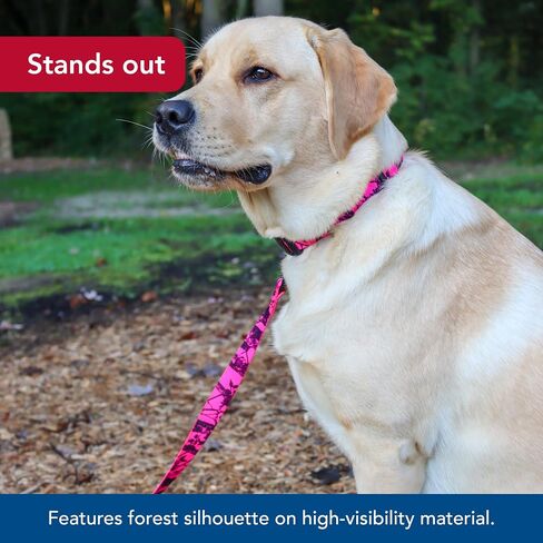 مقود كلب منقوش من Water & Woods Blaze من Coastal Pet - معالجة مريحة ومريحة - مشبك دوار سهل الاستخدام - مقود قوي للكلاب - شجرة وردية نيون، 1 × 6 أقدام in Saudi Arabia