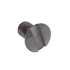 BAIJAC Replacement for Needle Plate Screw (2pcs) Brother PS2360 PS2470 PS2500 PS3100 PS3700 PX100 PX150