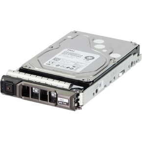 Dell 4TB 7.2K 12Gbps NL SAS 3.5 HDD 512n (1MVTT) (Renewed)