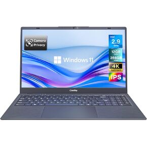 Coolby 15.6 inch Windows 11 Laptop Computer with 1920x1080 IPS Display, 8GB RAM/256 GB NVMe SSD, Intel N5095 Quad Core Processor Notebook PC, Support 2.4G/5G Hz WiFi, BT, Type-c PD 3.0 Charging