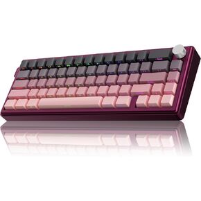 KY65 Wireless Mechanical Keyboard,65% Gasket Hot Swappable Custom Keyboard,RGB Backlit,Pre-lubed Gateron Switches,Side Printed PBT Keycaps,2.4GHz/TYPE-C/BT5.0 Mechanical Gaming Keyboards, Pink&Black