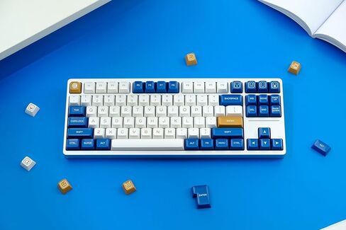 مجموعة Keycaps ذات اللونين ، 160 مفاتيح/ABS/SA ملف تعريف/مفاتيح Doubleshot للوحة المفاتيح الميكانيكية المخصصة لتبديل MX (اللون: سماوي مظلم) in Kuwait