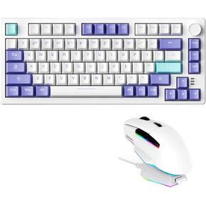 DAREU Wireless Keyboard and Mouse:A955 Wireless Gaming Mouse & EK75PRO Gasket Wireless Gaming Mechanical Keyboard Combo