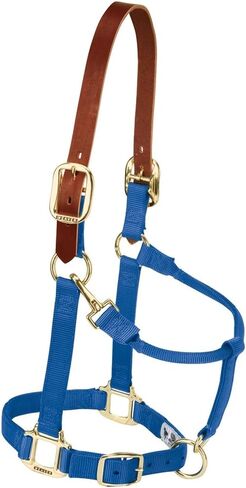 Weaver Leather Nylon Adjustable Breakaway Horse Halter, Small, Hurricane Blue in Saudi Arabia
