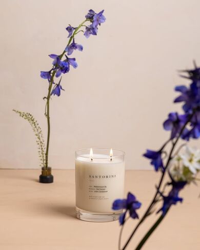 Brooklyn Candle Studio Maui Escapist Candle | Luxury Scented Candle, Vegan Soy Wax, Hand Poured in The USA | 70 Hour Slow Burn Time | 13 oz in Saudi Arabia
