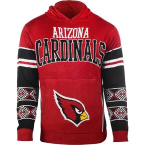 FOCO NFL Big Logo Hooded Sweater