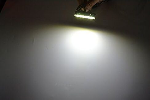 Waterproof Plate Light with 6 Red LED, License Plate Light Backup Light Tail Brake Light for Motorcycle Bike ATV Car RV SUV in Kuwait