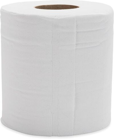 Camco RV Bathroom Toilet Tissue (16 rolls) and TastePURE Camper/RV Water Filter & Hose Protector in Saudi Arabia
