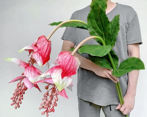 Pack of 2 - Artificial Medinilla Magnifica Made with PU Real Touch Exotic Flowers Fake Tropical Philippine Orchid Rose Grape Plant for Home Garden Decor - 51.15 inch (Flamingo Pink) in Saudi Arabia