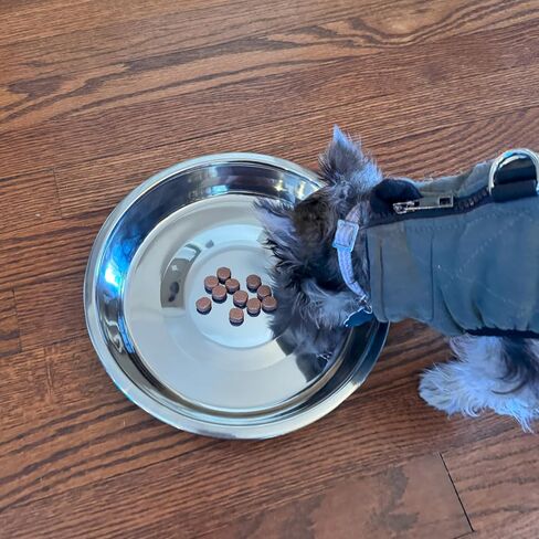 ممارسات أخلاقية 25.4 سم Puppy ومصنوعة من الفولاذ المقاوم للصدأ in Kuwait