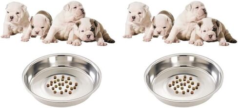 ممارسات أخلاقية 25.4 سم Puppy ومصنوعة من الفولاذ المقاوم للصدأ in Kuwait