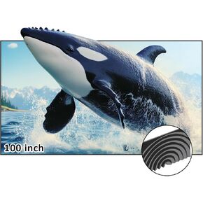 NexiGo 100-Inch Fresnel Projector Screen for Bright Day Light Use, 85% Ambient Light Rejecting ALR Projection Screen for Ultra Short Throw Projector, 16:9 Fixed Frame, Active 3D, HDR