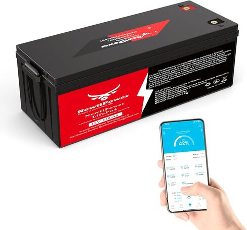 12V 300Ah Small LiFePO4 Lithium Battery with APP, 200A BMS,10000+ Deep Cycle Lithium Iron Phosphate Battery Great for Winter Power Shortage, RV, Marine and Off Grid Applications in Kuwait