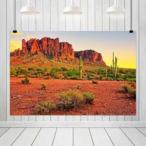 10x6.5ft Sunset Desert Backdrop Mountains Sun Weathered Rock Mountains Plants Gobi Nature Landscape Background Hiking Camping Pictures Home Decor Photo Studio Props