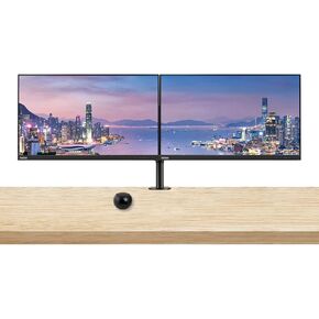Lenovo ThinkVision S24e-20 23.8" Full HD 1920 x 1080 WLED LCD Monitor 2-Pack Bundle with Mini Speaker, 250 Nit, FreeSync, HDMI-VGA, Raven Black, & Adjustable Desk Mount Monitor Stand