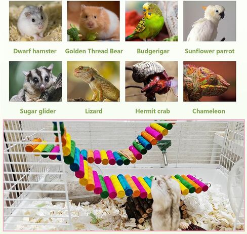 HAMILEDYI Hamster Rainbow Bridge,Flexible Bendy Climbing Ladder Hanging Wooden Chew Toy for Bird Parrot Guinea Pig Chinchilla Chipmunk Sugar Glider Gerbil Mice Squirrel Small Animal(Pack of 2) in Saudi Arabia