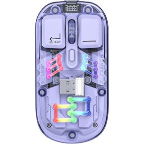 Docooler Transparent Wireless Dual-Mode Mice, One-Button Switching, Type-C 400mAh Rechargeable Mouse, Three-Level DPI Adjustable RGB Water-Cooled Lights Magnetic PC Cover Custom Drivers for Laptop PC