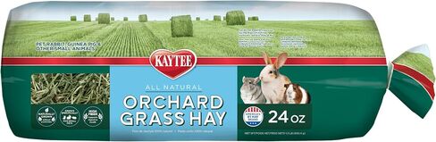 Kaytee Timothy Hay & Orchard Grass for Guinea Pigs, Rabbits & Other Small Animals, 48 oz in Saudi Arabia