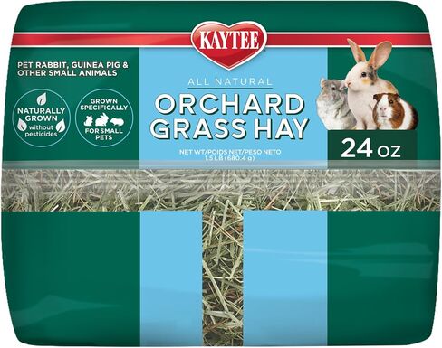 Kaytee Timothy Hay & Orchard Grass for Guinea Pigs, Rabbits & Other Small Animals, 48 oz in Saudi Arabia