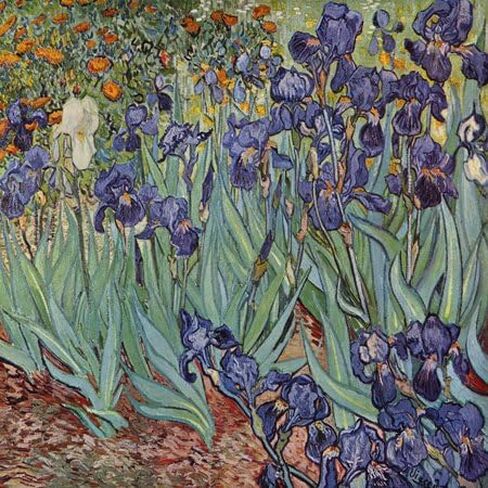 3dRose qs_46958_1 Van Gogh Irises Iris، زهرة، ذكرى الزهور، الذكرى السنوية للزفاف، الذكرى السنوية الخامسة والعشرين، مربع لحاف الإيمان، 10 × 10 بوصة in Saudi Arabia