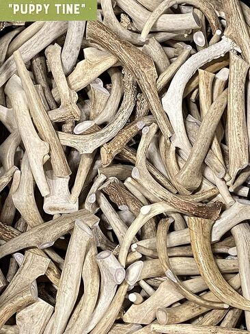 Natural Dakota Premium Deer Antler Dog Chew Toys (Small) Half-Pint in Kuwait