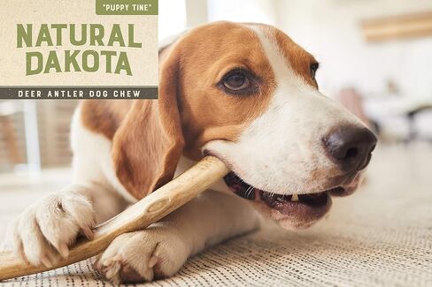 Natural Dakota Premium Deer Antler Dog Chew Toys (Small) Half-Pint in Kuwait