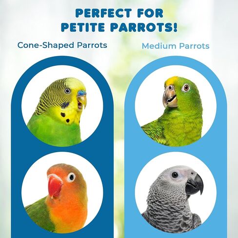 SunGrow Parrot Toy, 19" x 7.5", Colorful Wooden Beads and Metal Chain Link Hanger, Multicolored, 1 Pc per Pack in Saudi Arabia