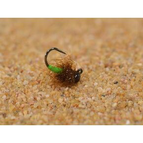 6 Flies - Tungsten Jigged Caddis Jig Head Fly - Euro Nymph - Hanak Hook