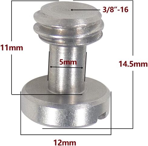 BGNing 4 Pcs M5 Knurled Thumb Screw Threaded 1/4 3/8 Thumbscrew Knobs Adapter Mount High Step Slotted Head Hand Tighten Compatible with GoPro Cameras (4pcs Stainless Steel) in Saudi Arabia