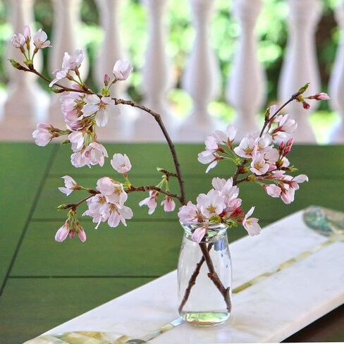 Kate Aspen Vintage Milk Shaped Corked Glass, Baby Shower Party Favor, Centerpiece, Bud Vase Decorative Bottles, 18, Clear, 18 Count (27196NA) in Saudi Arabia