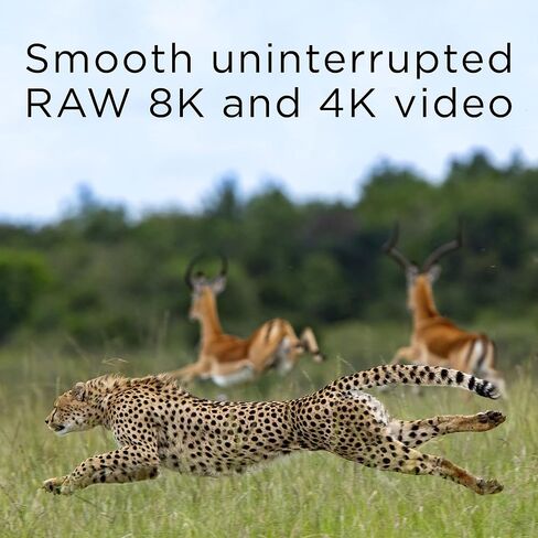 256 جيجابايت CFExpress بطاقة الذاكرة من النوع B 2.0 8K RAW و 4K 120 FPS 1700MB/S اقرأ سرعة الكتابة 1600 ميجابايت/ثانية مصممة للمصور السينمائي والمصور المحترف in Kuwait