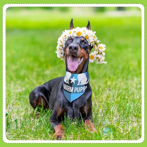Buryeah 500 Pcs Plaid Dog Bandanas Bulk for Groomers Pet Scarfs Puppies Bibs with Cute Sayings Adjustable Washable Pet Costume Dog Accessories for Small to Large Dogs Cats (Assorted Plaid) in Saudi Arabia