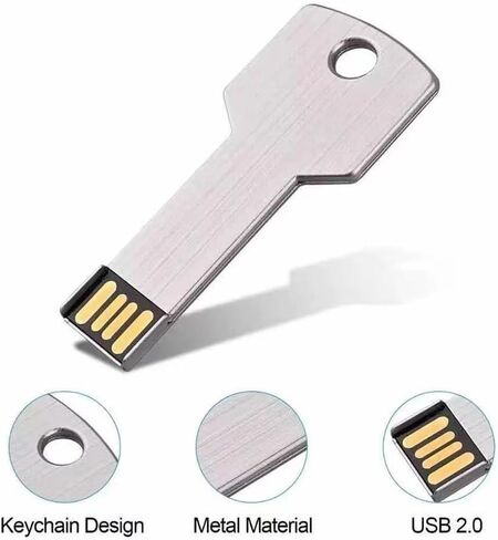250pcs 512 ميجابايت شعار مخصص محرك أقراص فلاش USB في شكل مفتاح معدني ، محرك إبهام مخصص للترويج ، عصا الذاكرة مخصصة بكميات كبيرة in Kuwait
