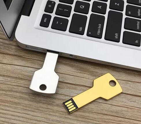 250pcs 512 ميجابايت شعار مخصص محرك أقراص فلاش USB في شكل مفتاح معدني ، محرك إبهام مخصص للترويج ، عصا الذاكرة مخصصة بكميات كبيرة in Kuwait