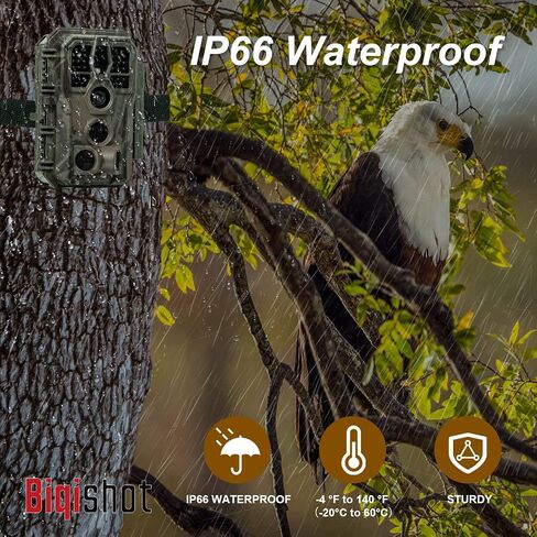 S24 Trail Camera,Game Cameras with Night Vision Motion Activated Waterproof IP66 2.4" LCD 0.1s Trigger for Wildlife,Hunting Cams for Outdoors,No Glow Infrared Leds Trail Cam for Wildlife Monitoring. in Saudi Arabia