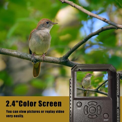 S24 Trail Camera,Game Cameras with Night Vision Motion Activated Waterproof IP66 2.4" LCD 0.1s Trigger for Wildlife,Hunting Cams for Outdoors,No Glow Infrared Leds Trail Cam for Wildlife Monitoring. in Saudi Arabia