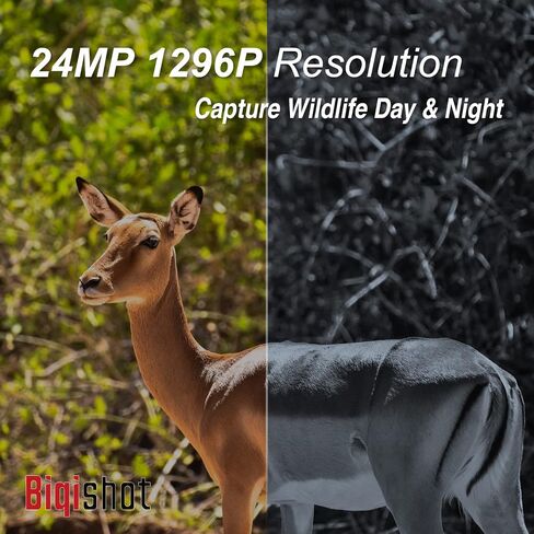 S24 Trail Camera,Game Cameras with Night Vision Motion Activated Waterproof IP66 2.4" LCD 0.1s Trigger for Wildlife,Hunting Cams for Outdoors,No Glow Infrared Leds Trail Cam for Wildlife Monitoring. in Saudi Arabia