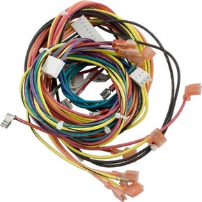 Raypak Wire Harness Iid 009490F