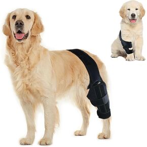 دعامة ركبة الكلب من بيتمنجهام لعلاج الرباط الصليبي الأمامي، وخلع غطاء الركبة، والتهاب المفاصل - آلام المفاصل، والتهاب العضلات - تعافي أفضل - يقلل الألم والالتهاب - دعامات الساق الخلفية للكلاب قابلة للتعديل (الحجم: S) in Kuwait