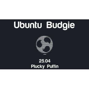 Ubuntu Budgie 25.04 LTS Bootable USB Flash Drive
