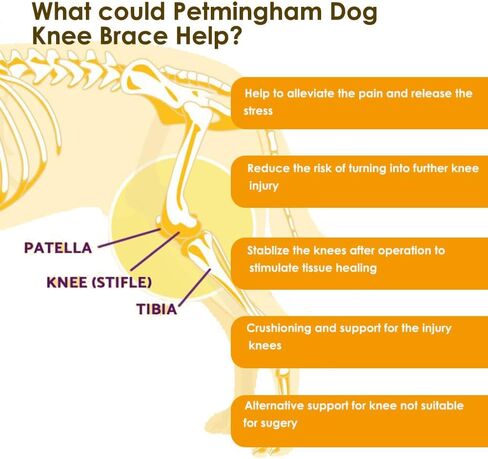 دعامة ركبة الكلب من بيتمنجهام لعلاج الرباط الصليبي الأمامي، وخلع غطاء الركبة، والتهاب المفاصل - آلام المفاصل، والتهاب العضلات - تعافي أفضل - يقلل الألم والالتهاب - دعامات الساق الخلفية للكلاب قابلة للتعديل (الحجم: S) in Kuwait