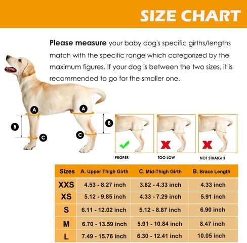 دعامة ركبة الكلب من بيتمنجهام لعلاج الرباط الصليبي الأمامي، وخلع غطاء الركبة، والتهاب المفاصل - آلام المفاصل، والتهاب العضلات - تعافي أفضل - يقلل الألم والالتهاب - دعامات الساق الخلفية للكلاب قابلة للتعديل (الحجم: S) in Kuwait