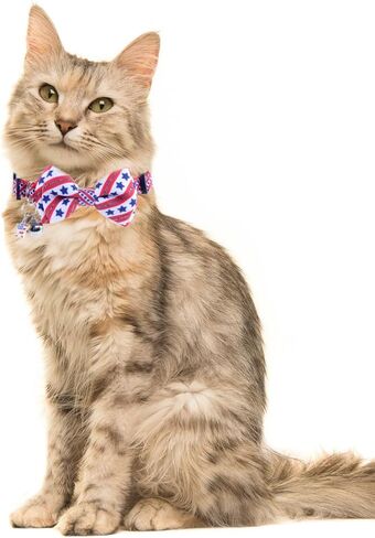 American Flag Cat Collar with Bell Bow Tie Star Breakaway Adjustable for 4th of July Independence Day in Kuwait