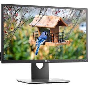 Dell P2017H LED Backlit |1600 x 900 | 20 Inch Monitor, HDMI, Display Port, VGA, 16.7 Million Colors, Horizontal and Vertical Viewing 178, Response Time 6ms (Renewed)