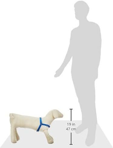 Softouch Sense-ible No-Pull Dog Harness (Black, Extra Small) in Saudi Arabia
