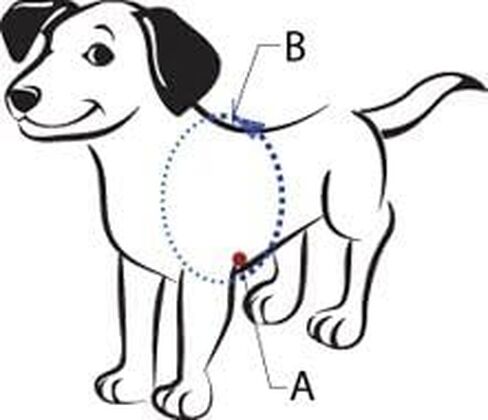 Softouch Sense-ible No-Pull Dog Harness (Black, Extra Small) in Saudi Arabia