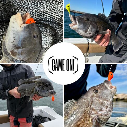 Rock Bottom Jigs™ - Premium Saltwater Fishing Jig for Blackfish (Tautog), Sheepshead, Grouper & Snapper - Wide-Body Design for Less Snags - Ultra-Sharp VMC Hooks & Durable Construction - 2 Pack in Saudi Arabia