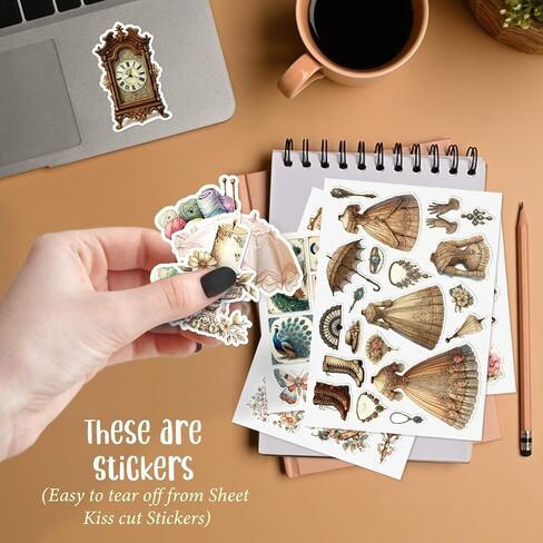 190 ملصقات نباتات مجلة SCROPBOOK لوازم المصادر المحفوظة بوعاء الأزهار الشارات DIY الزخرفية المصنوعات الخضراء مجموعة ملصقات للكمبيوتر المحمول ، المغلف ، سجل القصاصات ، دفتر الملاحظات ، الأمتعة ، مخطط مذكرات in Kuwait