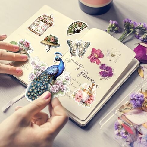 190 ملصقات نباتات مجلة SCROPBOOK لوازم المصادر المحفوظة بوعاء الأزهار الشارات DIY الزخرفية المصنوعات الخضراء مجموعة ملصقات للكمبيوتر المحمول ، المغلف ، سجل القصاصات ، دفتر الملاحظات ، الأمتعة ، مخطط مذكرات in Kuwait